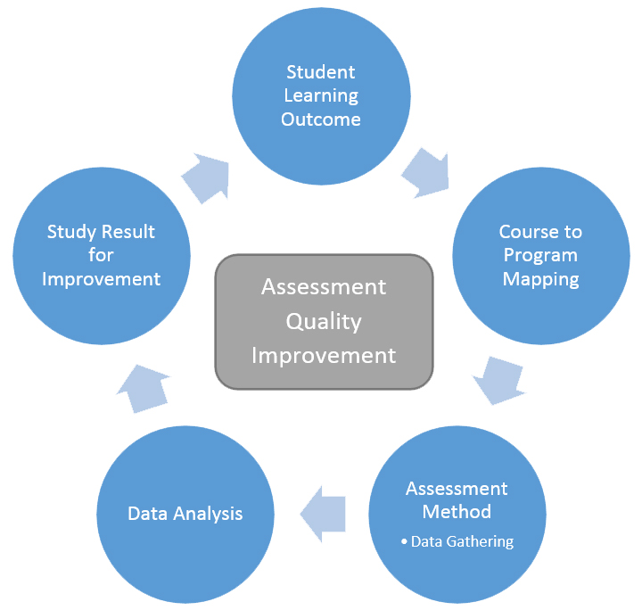Chart depicting Assessment Quality Improvement