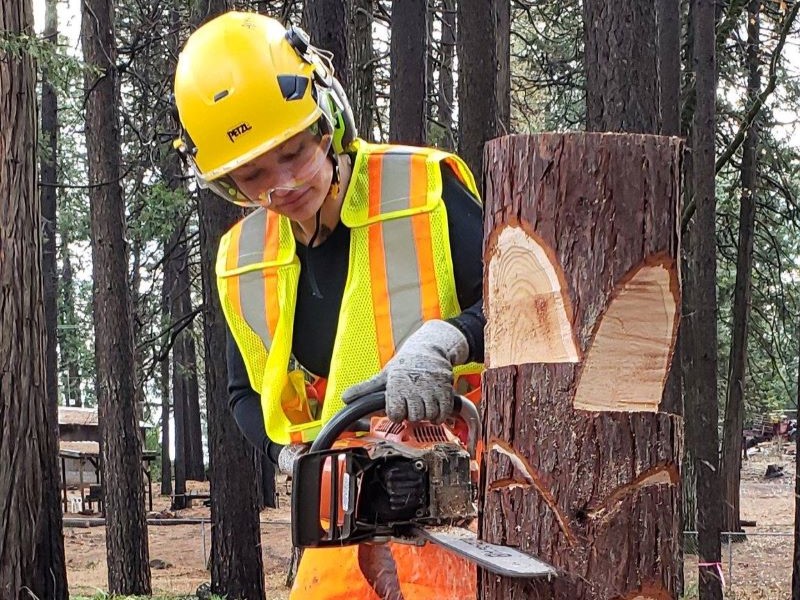 student cutting tree